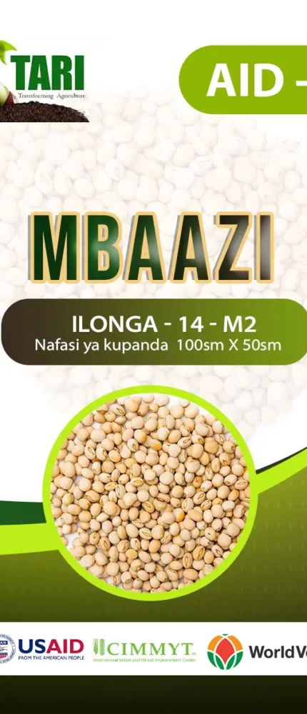 MBAAZI ILONGA M2 MBAAZI ILONGA M2